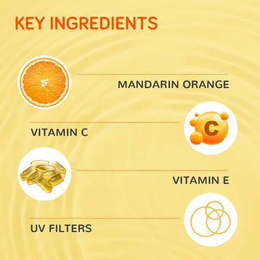 https://cdn.shopify.com/s/files/1/1857/6931/products/FVSJRReXAq.jpg?v=1703742541